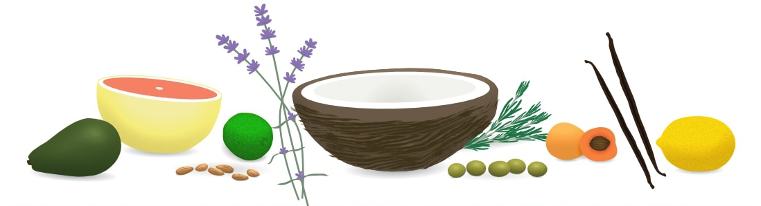 lm illustrated natural ingredients